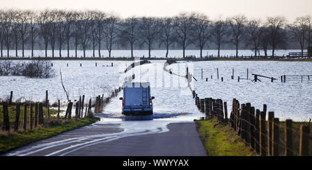 Straße Naturschutz Bereich Bislicher Insel bei hohen Wasserzeichen, Wesel, Niederrhein, Deutschland Stockfoto