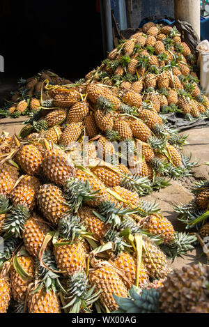 Viele Ananas auf der Straße gestapelt, in der Stadt Galle, Sri Lanka Stockfoto