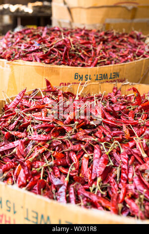 In der Nähe von Roter Chili Pfeffer in Kartons in einem Lebensmittelgeschäft in Galle, Sri Lanka Stockfoto