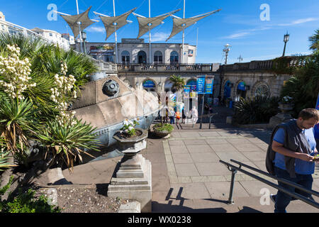 Sea Life Brighton Center Aquarium, East sussex, großbritannien Stockfoto