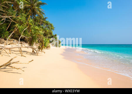 Fantastische Strände an der Südwestküste von Sri Lanka, in der Nähe von Dickwella Stockfoto