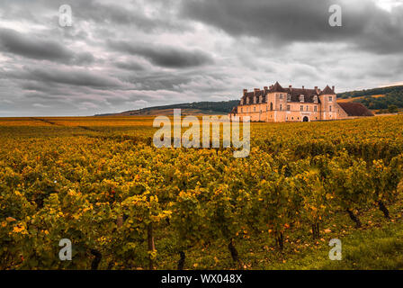 Chateau mit Weinbergen im Herbst Saison, Burgund, Frankreich Stockfoto