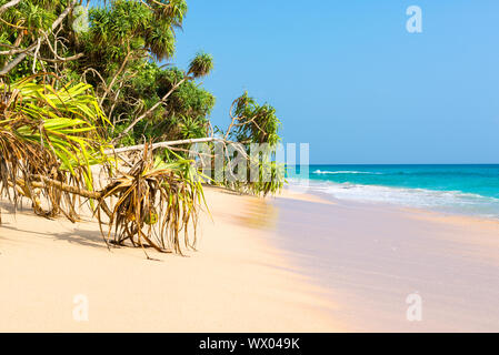 Fantastische Strände an der Südwestküste von Sri Lanka, in der Nähe von Dickwella Stockfoto