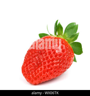 Eine Erdbeere isoliert auf weißem Stockfoto