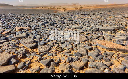 Steinwüste und Geröll in der Wüste im Sudan Sahara Stockfoto