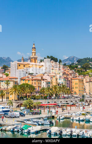 Den Hafen und die Altstadt von Menton, Alpes Maritimes, Provence Alpes Cote d'Azur, Côte d'Azur, Frankreich, Mittelmeer, Europa Stockfoto