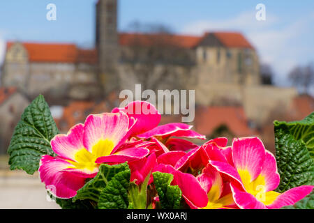 Blick auf das Schloss Quedlinburg im Frühjahr Stockfoto