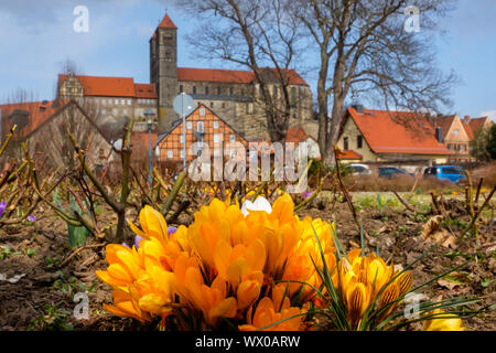 Blick auf das Schloss Quedlinburg im Frühjahr Stockfoto