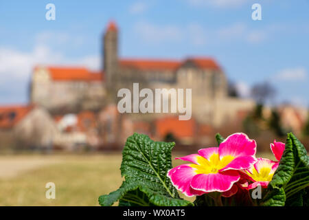 Blick auf das Schloss Quedlinburg im Frühjahr Stockfoto