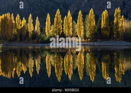 Eine Reihe von Pappeln in herbstlichen Farben wider, San Carlos de Bariloche, Patagonia, Argentinien, Südamerika Stockfoto