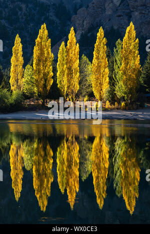 Reflexion der Pappeln in herbstlichen Farben, San Carlos de Bariloche, Patagonia, Argentinien, Südamerika Stockfoto