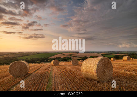 Strohballen bei Sonnenuntergang in ländlichen Devon, Livaton, Devon, England, Vereinigtes Königreich, Europa Stockfoto