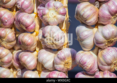 Rote Knoblauch hängen auf Farmer's Market Stall. Weiß und Lila rote Köpfe, Bits von Wurzeln, Stämme Stockfoto