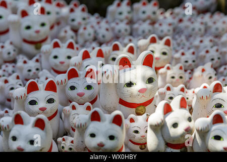 Cat Statuen im Tempel in Setagaya Gotokuji city, Tokio, Japan, Asien Stockfoto