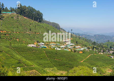 Unternehmen der Stadt in der Mitte der Teeplantagen im Hochland von Sri Lanka Stockfoto