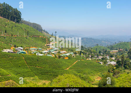 Unternehmen der Stadt in der Mitte der Teeplantagen im Hochland von Sri Lanka Stockfoto