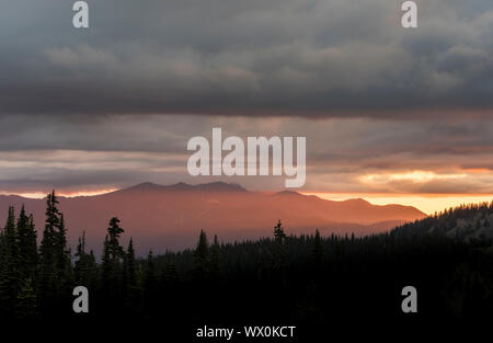 Abendlicht auf Berggipfeln, Ansicht von Hurricane Ridge, Olympic Nationalpark, UNESCO, Washington State, Vereinigte Staaten von Amerika, Nordamerika Stockfoto