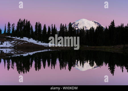 Reflexion des Mount Rainier in der Morgendämmerung, Tipsoo Lake, Mount Rainier National Park, Washington State, Vereinigte Staaten von Amerika, Nordamerika Stockfoto