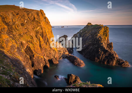 Kynance Cove am späten Abend, Lizard National Nature Reserve, Lizard Halbinsel, Cornwall, England, Vereinigtes Königreich, Europa Stockfoto