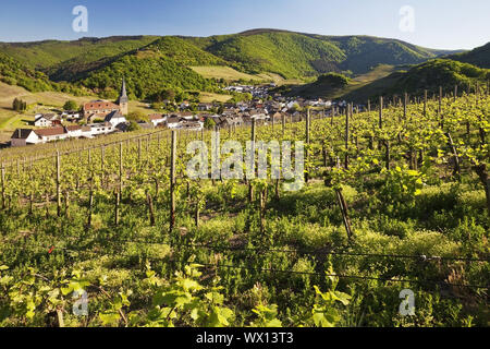 Blick über die Weinberge auf den Ort Mayschoss, Ahrtal, Eifel, Rheinland-Pfalz, Deutschland, Europa Stockfoto