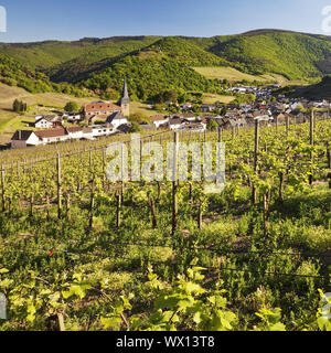 Blick über die Weinberge auf den Ort Mayschoss, Ahrtal, Eifel, Rheinland-Pfalz, Deutschland, Europa Stockfoto