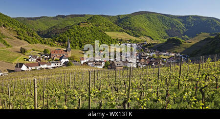 Blick über die Weinberge auf den Ort Mayschoss, Ahrtal, Eifel, Rheinland-Pfalz, Deutschland, Europa Stockfoto