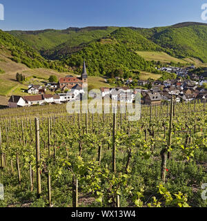 Blick über die Weinberge auf den Ort Mayschoss, Ahrtal, Eifel, Rheinland-Pfalz, Deutschland, Europa Stockfoto