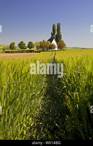 Feld Landschaft mit kleinen Kapelle Heilig-Kreuz-Kapelle, Mertloch, Eifel, Deutschland, Europa Stockfoto