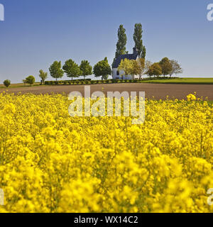 Feld Landschaft mit kleinen Kapelle Heilig-Kreuz-Kapelle, Mertloch, Eifel, Deutschland, Europa Stockfoto