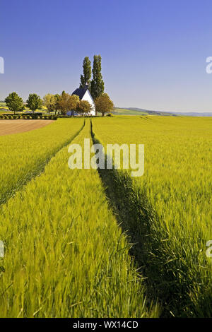 Feld Landschaft mit kleinen Kapelle Heilig-Kreuz-Kapelle, Mertloch, Eifel, Deutschland, Europa Stockfoto