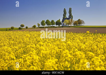 Feld Landschaft mit kleinen Kapelle Heilig-Kreuz-Kapelle, Mertloch, Eifel, Deutschland, Europa Stockfoto