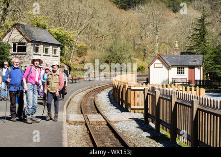 Gruppe der Wanderer warten auf dem Bahnsteig auf den Zug auf Erbe Schmalspurbahn Ffestiniog Railway Line im Tan-y-Kingsland, Gwynedd, Wales, Großbritannien Stockfoto