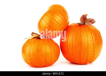 Kürbisse Stockfoto