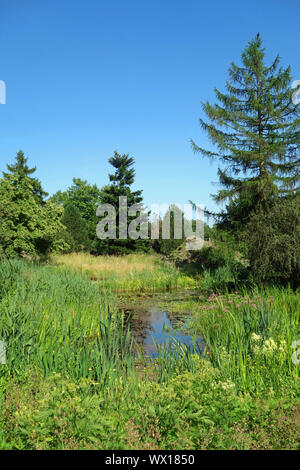 Naturschutzgebiet Stockfoto