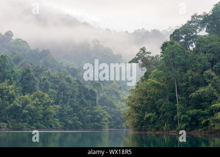 Nebligen Berge am frühen Morgen auf dem Cheow Lan Lake im Nationalpark Khao Sok in Thailand Stockfoto