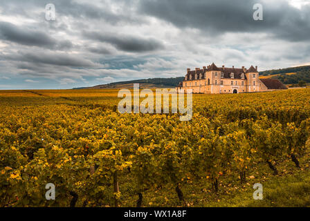 Chateau mit Weinbergen im Herbst Saison, Burgund, Frankreich Stockfoto