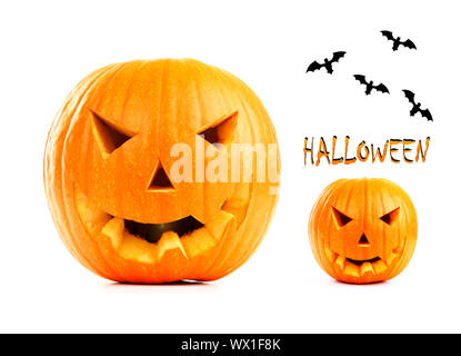 Halloween-Kürbis & Fledermäuse isoliert auf weißem Hintergrund Stockfoto
