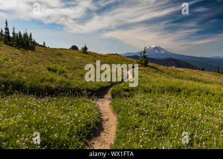 Pacific Crest Trail und Mount Adams gesehen von der Ziege Felsen, Wüste, Gifford Pinchot National Forest, Washington State, USA Stockfoto