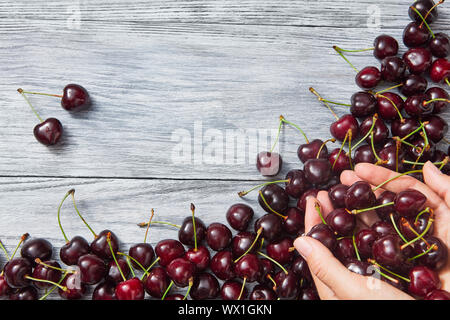Frau hält reife Kirschen in der Hand oben auf einem grauen Hintergrund aus Holz mit Platz für Text. Stockfoto