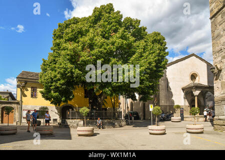 Ansicht des säkularen Linden (Tilia platyphyllos), ein Symbol der Stadt Aosta, neben der frühchristlichen Basilika von St. Lawrence, Aosta, Italien Stockfoto