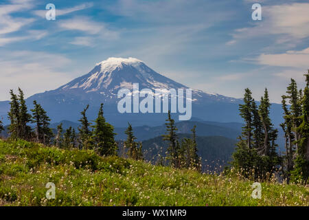 Mount Adams gesehen von der Pacific Crest Trail die Ziege Felsen, Wüste, Gifford Pinchot National Forest, Washington State, USA Kreuzung Stockfoto