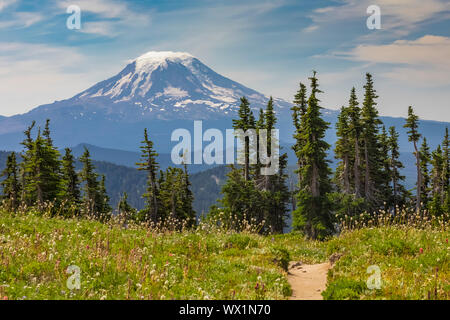 Mount Adams gesehen von der Pacific Crest Trail die Ziege Felsen, Wüste, Gifford Pinchot National Forest, Washington State, USA Kreuzung Stockfoto