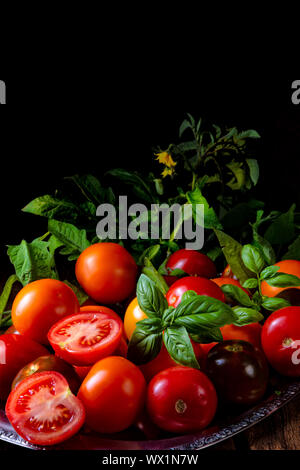 Verschiedene Arten von Tomaten serviert und präsentiert auf dem Silbertablett. Stockfoto