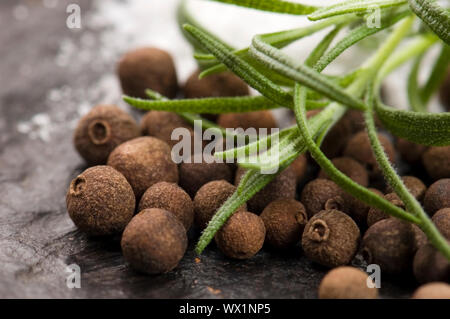 Piment mit frischem Rosmarin Stockfoto