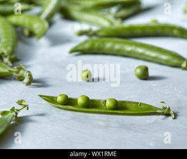 Frisch gepflückte Erbsen mit kleinen kugelförmigen Samen auf ein Grau mit kopieren. Soft Focus Stockfoto