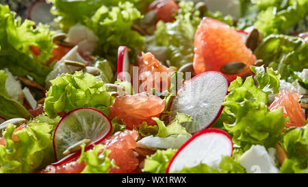 Frisch grünen im vegetarischen Salat abgeholt - Salat, Radieschen, Grapefruit, Käse, Kürbiskerne. Stockfoto