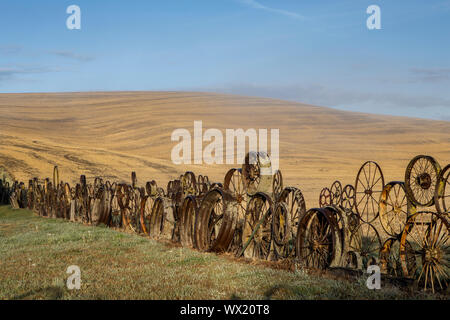 Am frühen Morgen Foto der Artisan Zaun in der Palouse Region Eastern Washington. Stockfoto