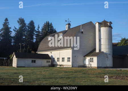 Am frühen Morgen Foto der Artisan Scheune in der Palouse Region Eastern Washington. Stockfoto