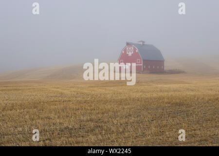 Eine rote Scheune durch Nebel gehüllt, steht auf dem palouse Region des östlichen Washington. Stockfoto