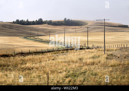 Eine kurvenreiche Landstraße durch die Landschaft der Palouse Region in der östlichen Washington schneiden. Stockfoto